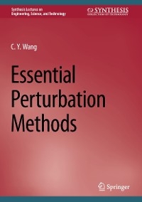 Essential Perturbation Methods - C.Y. Wang
