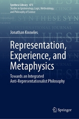 Representation, Experience, and Metaphysics -  Jonathan Knowles