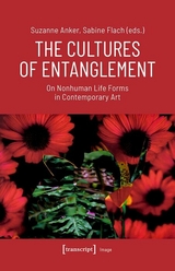 The Cultures of Entanglement - 