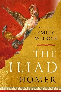 The Iliad -  Homer