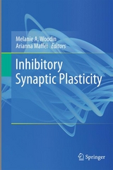 Inhibitory Synaptic Plasticity - 