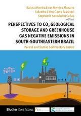 Perspectives to CO2 Geological Storage and Greenhouse Gas Negative Emissions in South-Southeastern Brazil - Raíssa Moreira Lima Mendes Musarra, Colombo Celso Gaeta Tassinari, Stephanie San Martín Cañas