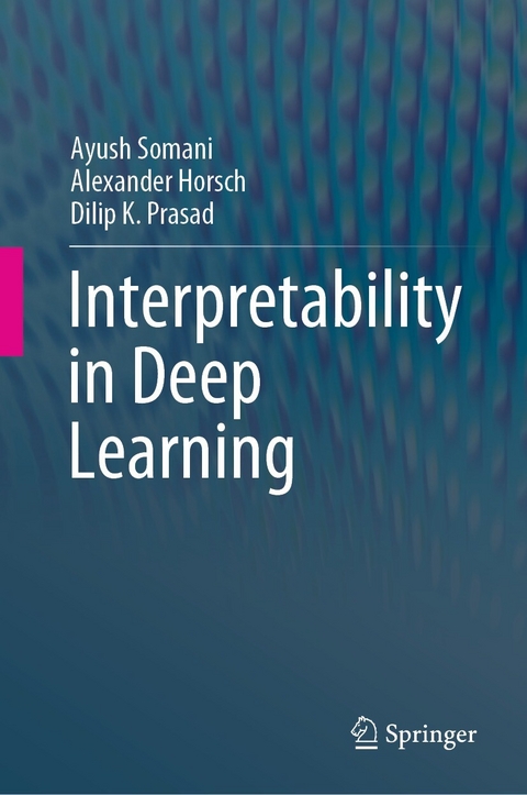 Interpretability in Deep Learning -  Ayush Somani,  Alexander Horsch,  Dilip K. Prasad