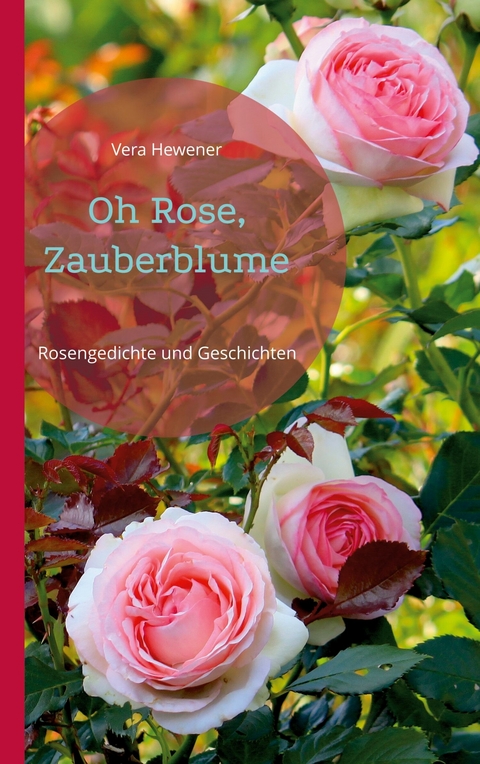 Oh Rose, Zauberblume - Vera Hewener