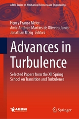 Advances in Turbulence - 