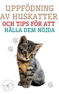 Uppfödning av Huskatter och Tips för att Hålla dem Nöjda - Edwin Pinto