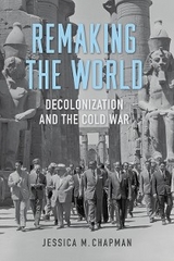 Remaking the World - Jessica M. Chapman