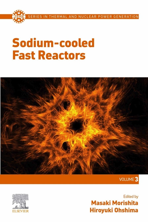 Sodium-cooled Fast Reactors - 