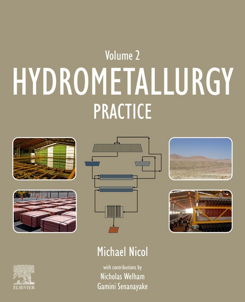 Hydrometallurgy -  Michael Nicol