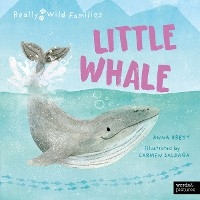 Little Whale -  ANNA BRETT