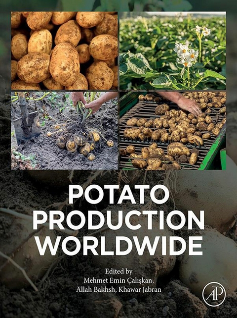 Potato Production Worldwide - 