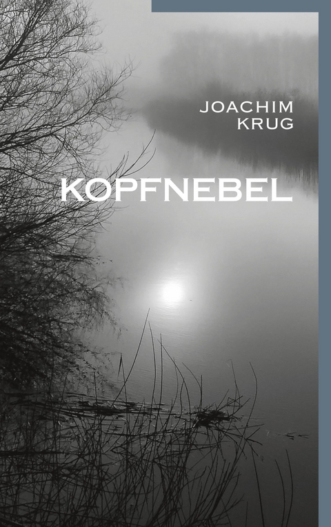 Kopfnebel -  Joachim Krug