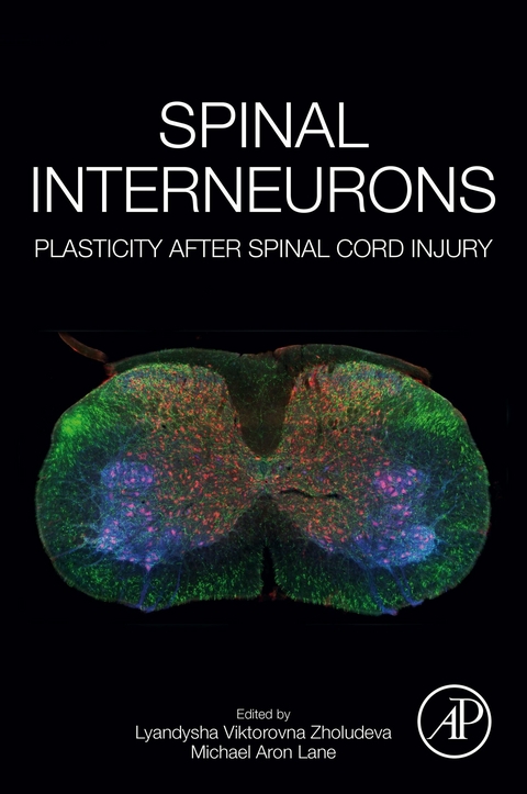 Spinal Interneurons - 