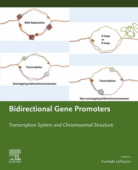 Bidirectional Gene Promoters -  Fumiaki Uchiumi