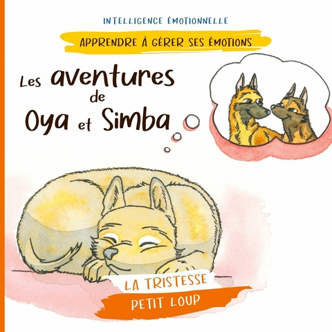Les aventures de Oya et Simba - Pierre Fasquelle, Christine Fasquelle, Sophie Pencenat