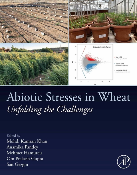 Abiotic Stresses in Wheat - 