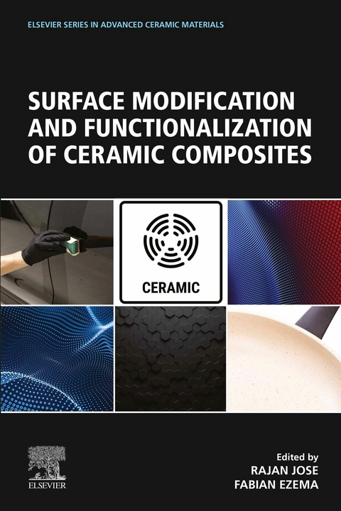 Surface Modification and Functionalization of Ceramic Composites - 