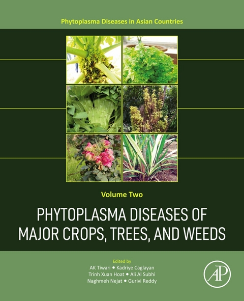 Phytoplasma Diseases of Major Crops, Trees, and Weeds - 