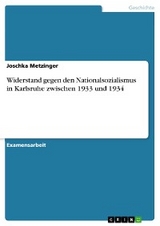 Widerstand gegen den Nationalsozialismus in Karlsruhe zwischen 1933 und 1934 - Joschka Metzinger