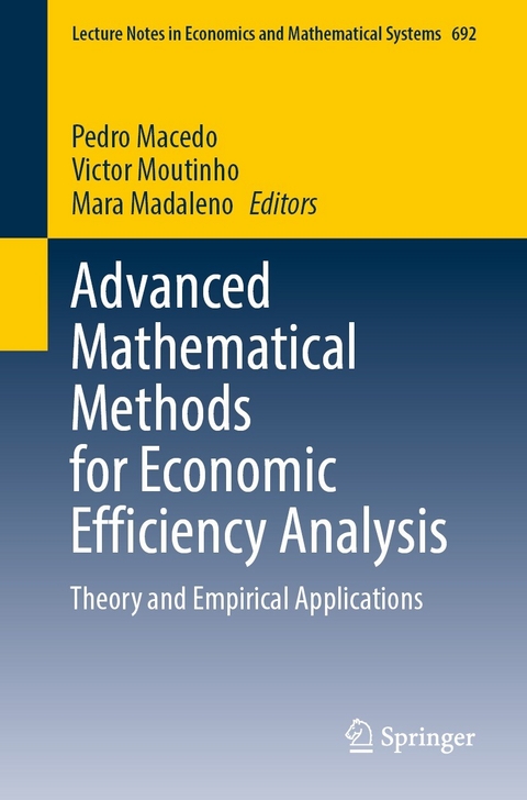 Advanced Mathematical Methods for Economic Efficiency Analysis - 