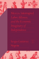 Mexico, Interrupted -  Sergio Gutierrez Negron