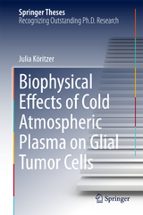 Biophysical Effects of Cold Atmospheric Plasma on Glial Tumor Cells - Julia Köritzer