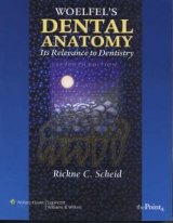 Woelfel's Dental Anatomy - Scheid, Rickne C.