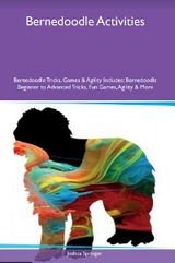 Bernedoodle Activities  Bernedoodle Tricks, Games & Agility Includes - Joshua Springer