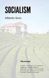 Socialism - Alberto Soto