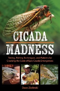 Cicada Madness -  Dave Zielinski