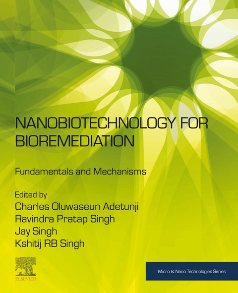 Nanobiotechnology for Bioremediation - 
