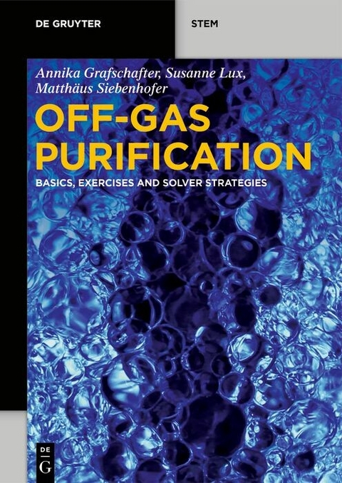 Off-Gas Purification -  Annika Grafschafter,  Susanne Lux,  Matthäus Siebenhofer