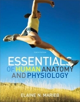 Essentials of Human Anatomy and Physiology with Essentials of Interactive Physiology CD-ROM - Marieb, Elaine N.