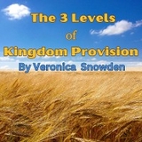3 Levels of Kingdom Provision -  Veronica Snowden