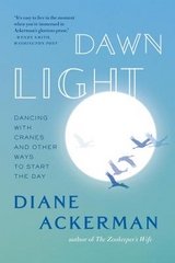 Dawn Light - Ackerman, Diane
