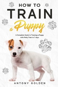 How to Train a Puppy - Antony Golden