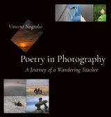 Poetry in Photography -  Vincent Nugroho