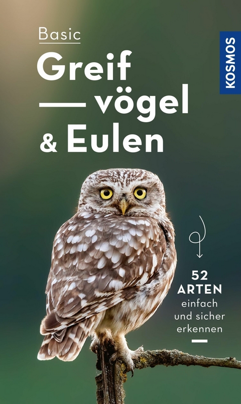 Basic Eulen Greifvögel - Volker Dierschke