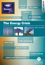 The Energy Crisis - Firth, Lisa