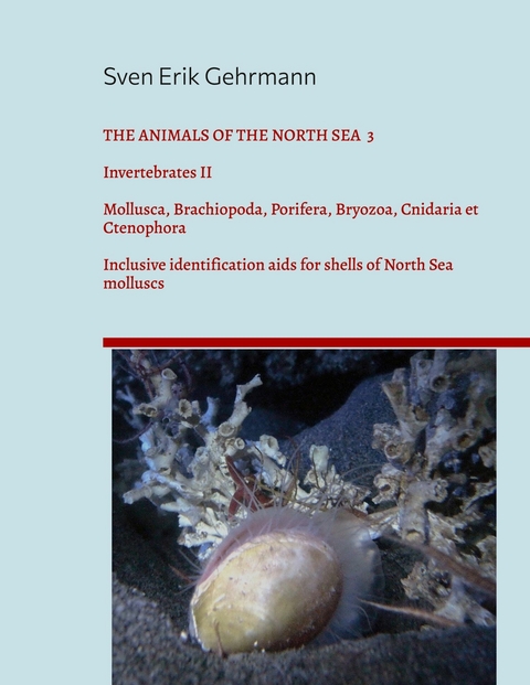 The Animals Of The North Sea 3 -  Sven Erik Gehrmann