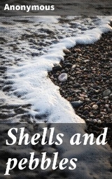 Shells and pebbles -  Anonymous