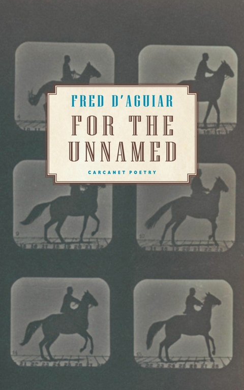 For the Unnamed - Fred D'Aguiar