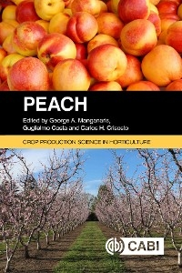 Peach - 