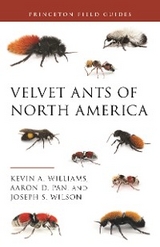 Velvet Ants of North America - Kevin Williams, Aaron D. Pan, Joseph S. Wilson