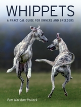 Whippets -  Pam Marston-Pollock