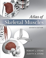Atlas of Skeletal Muscles - Stone, Judith; Stone, Robert