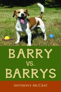 Barry VS. Barrys -  Anthony McCray