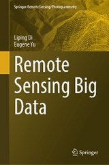 Remote Sensing Big Data - Liping Di, Eugene Yu