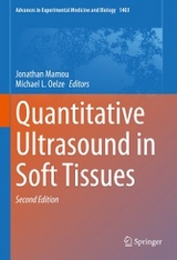 Quantitative Ultrasound in Soft Tissues - 