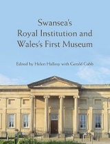 Swansea’s Royal Institution and Wales’s First Museum - 